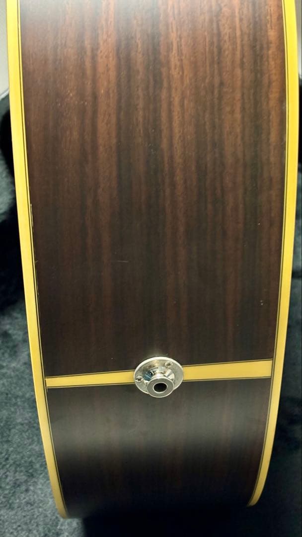 Takamine アコースティックギター NPT-010