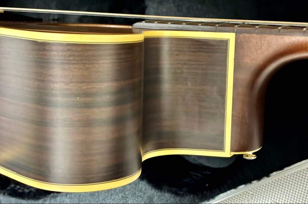 Takamine アコースティックギター NPT-010