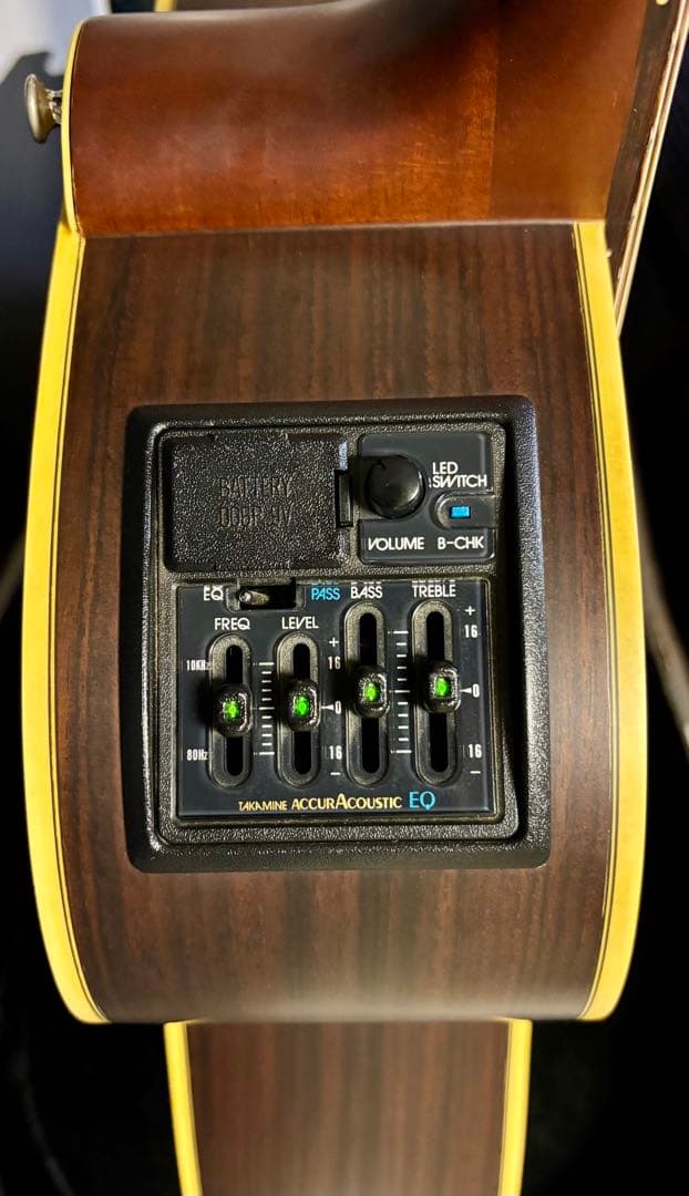 Takamine アコースティックギター NPT-010