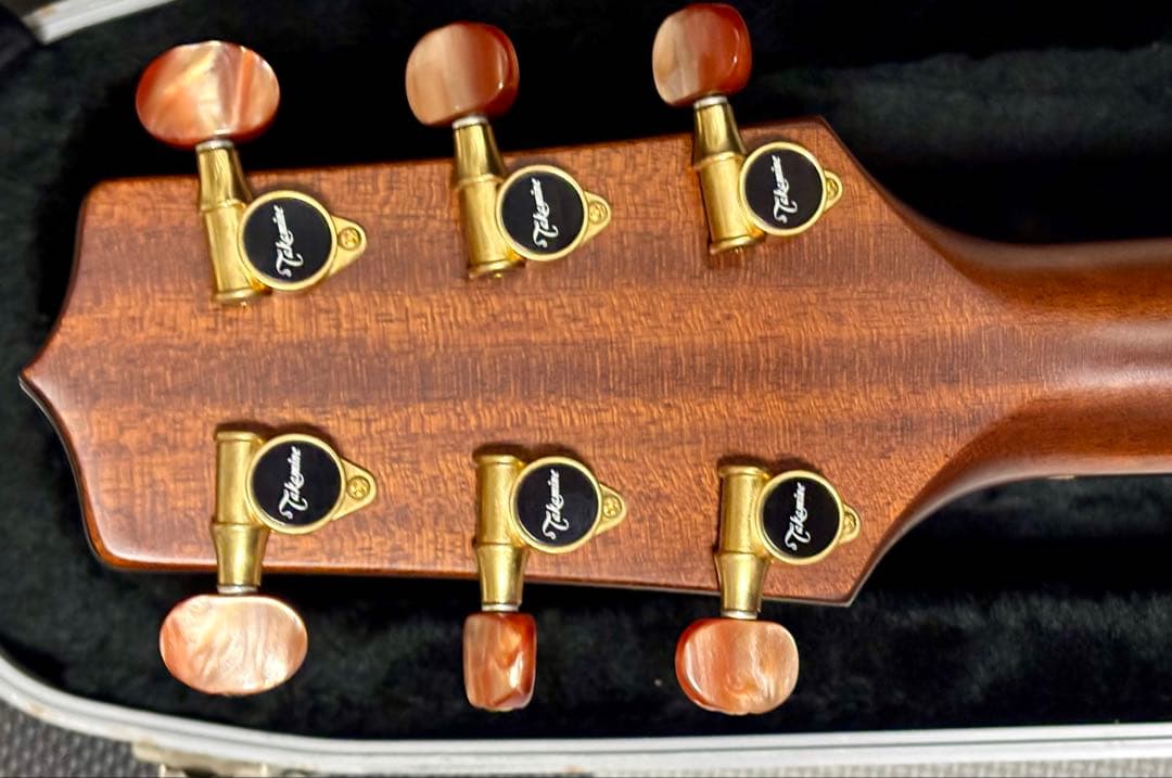 Takamine アコースティックギター NPT-010