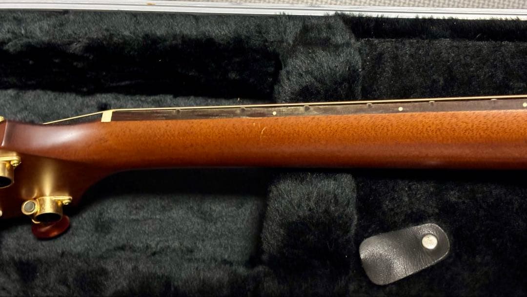 Takamine アコースティックギター NPT-010