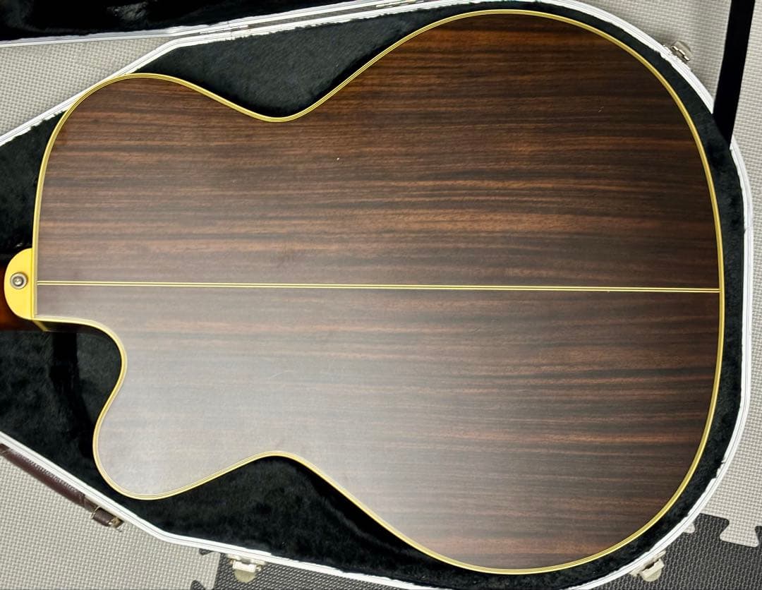 Takamine アコースティックギター NPT-010