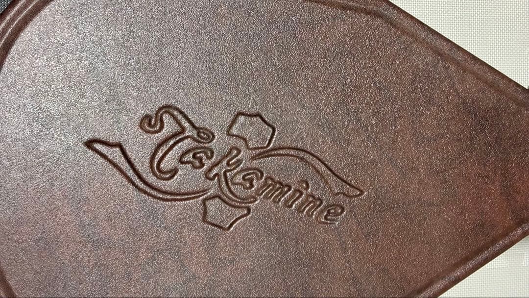 Takamine アコースティックギター NPT-010