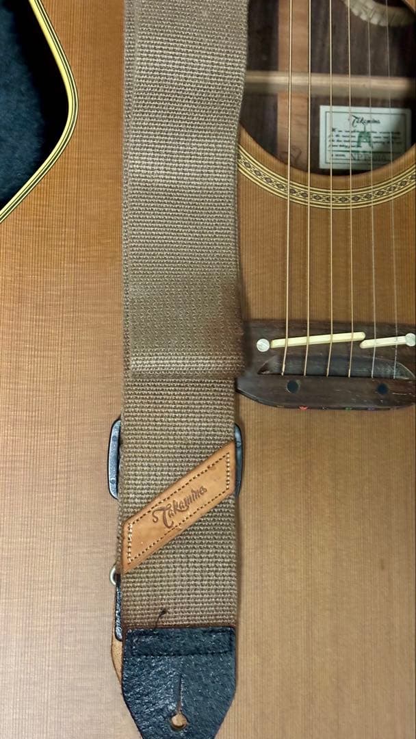 Takamine アコースティックギター NPT-010