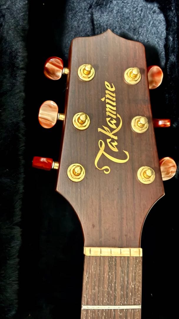 Takamine アコースティックギター NPT-010