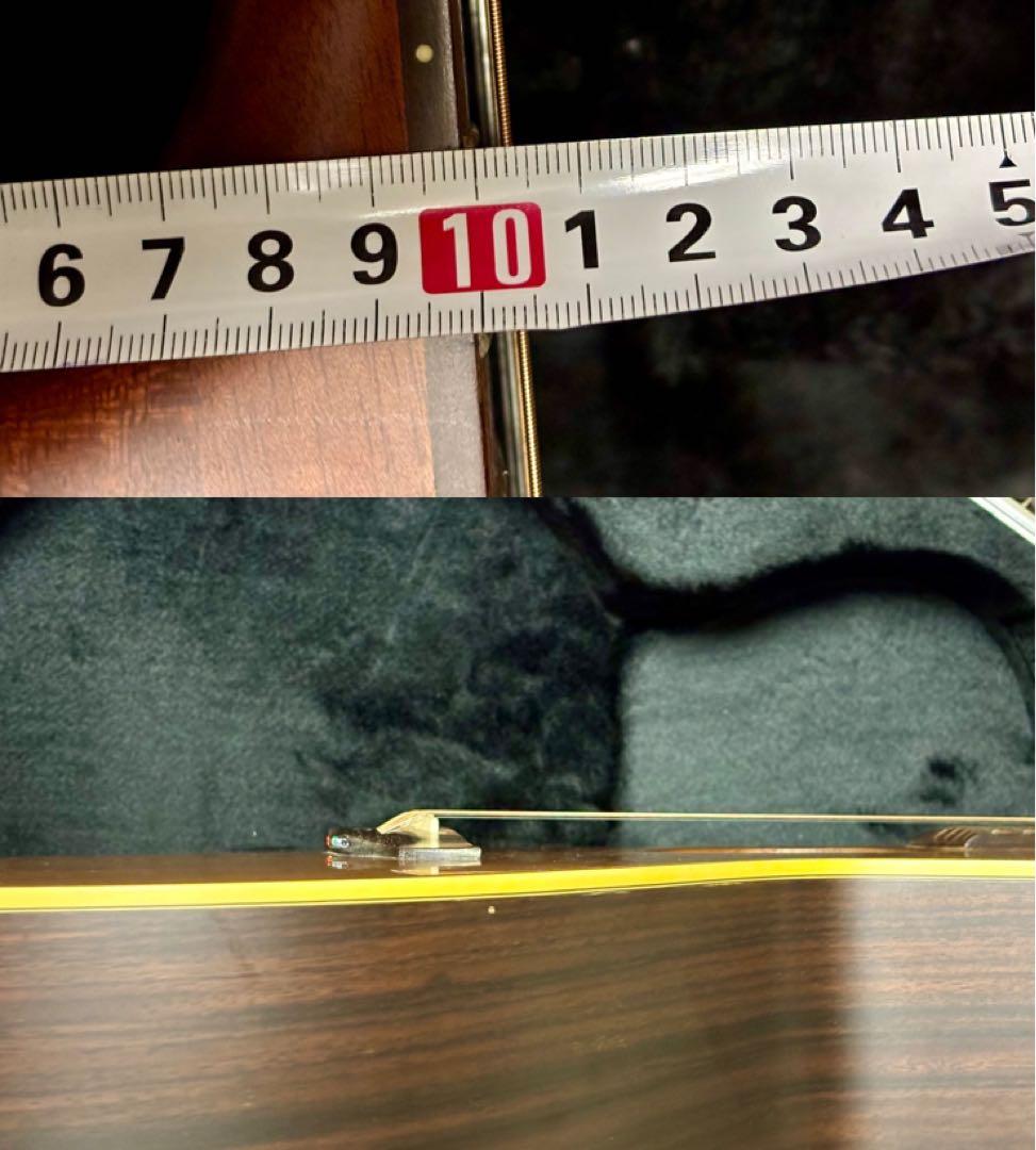 Takamine アコースティックギター NPT-010