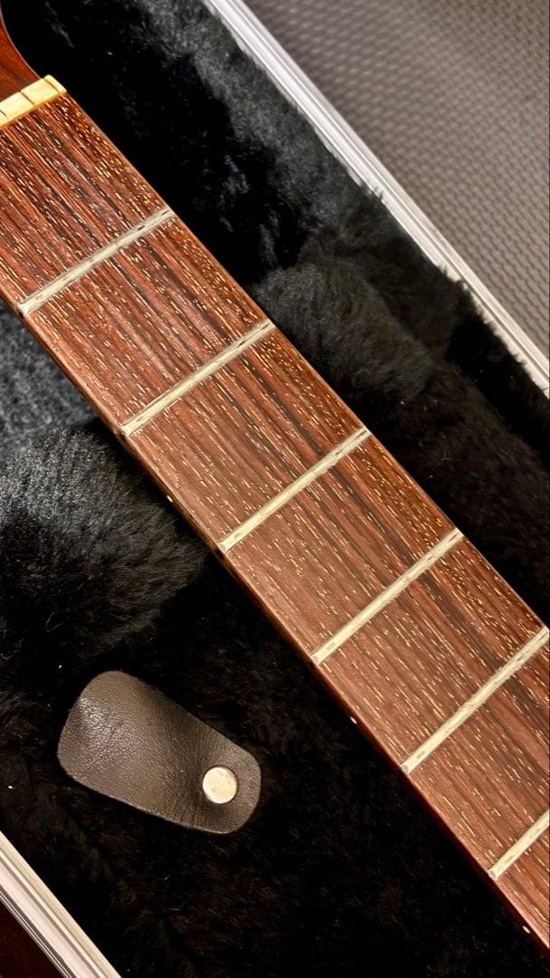 Takamine アコースティックギター NPT-010