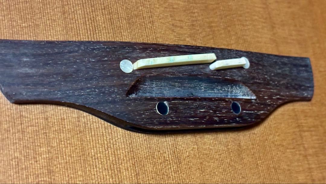 Takamine アコースティックギター NPT-010