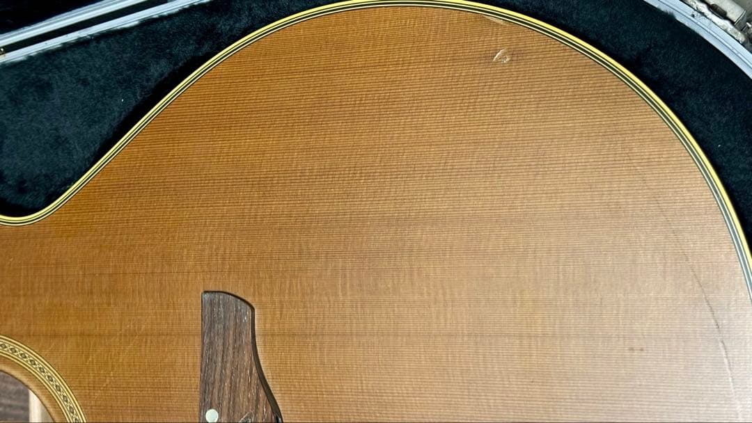 Takamine アコースティックギター NPT-010