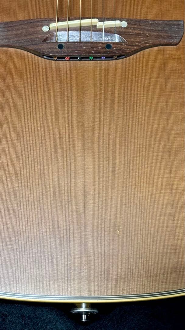 Takamine アコースティックギター NPT-010