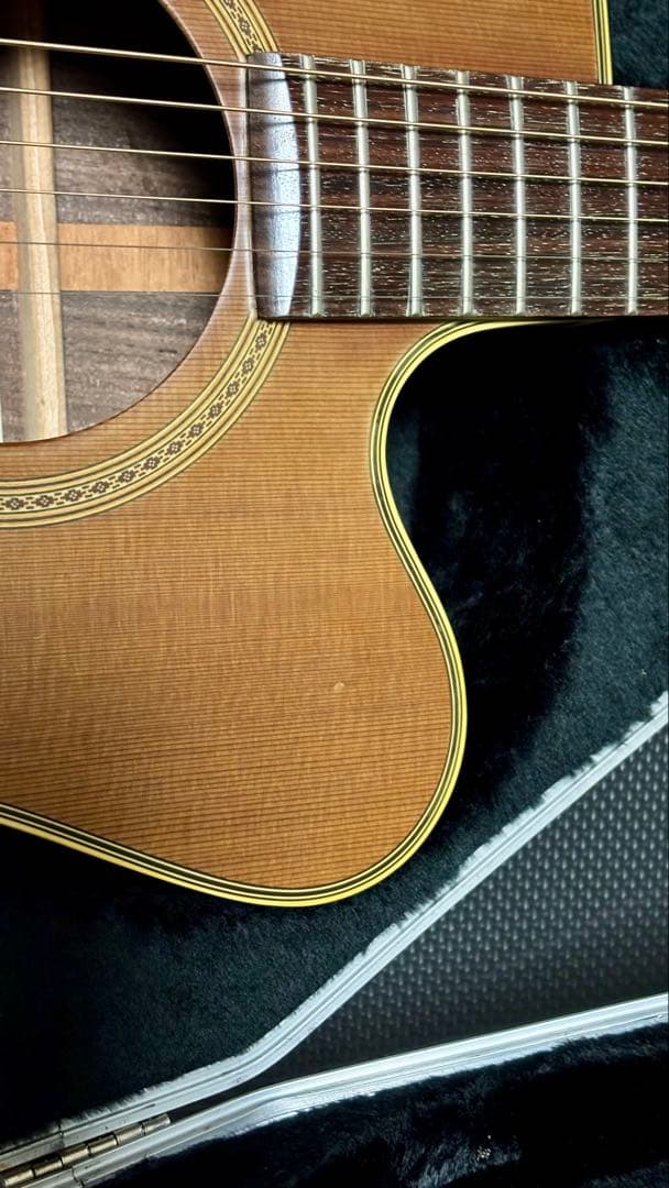 Takamine アコースティックギター NPT-010