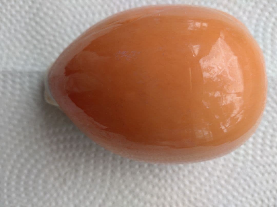 オレンジ色 卵型素材 約12cmなんようたからがい