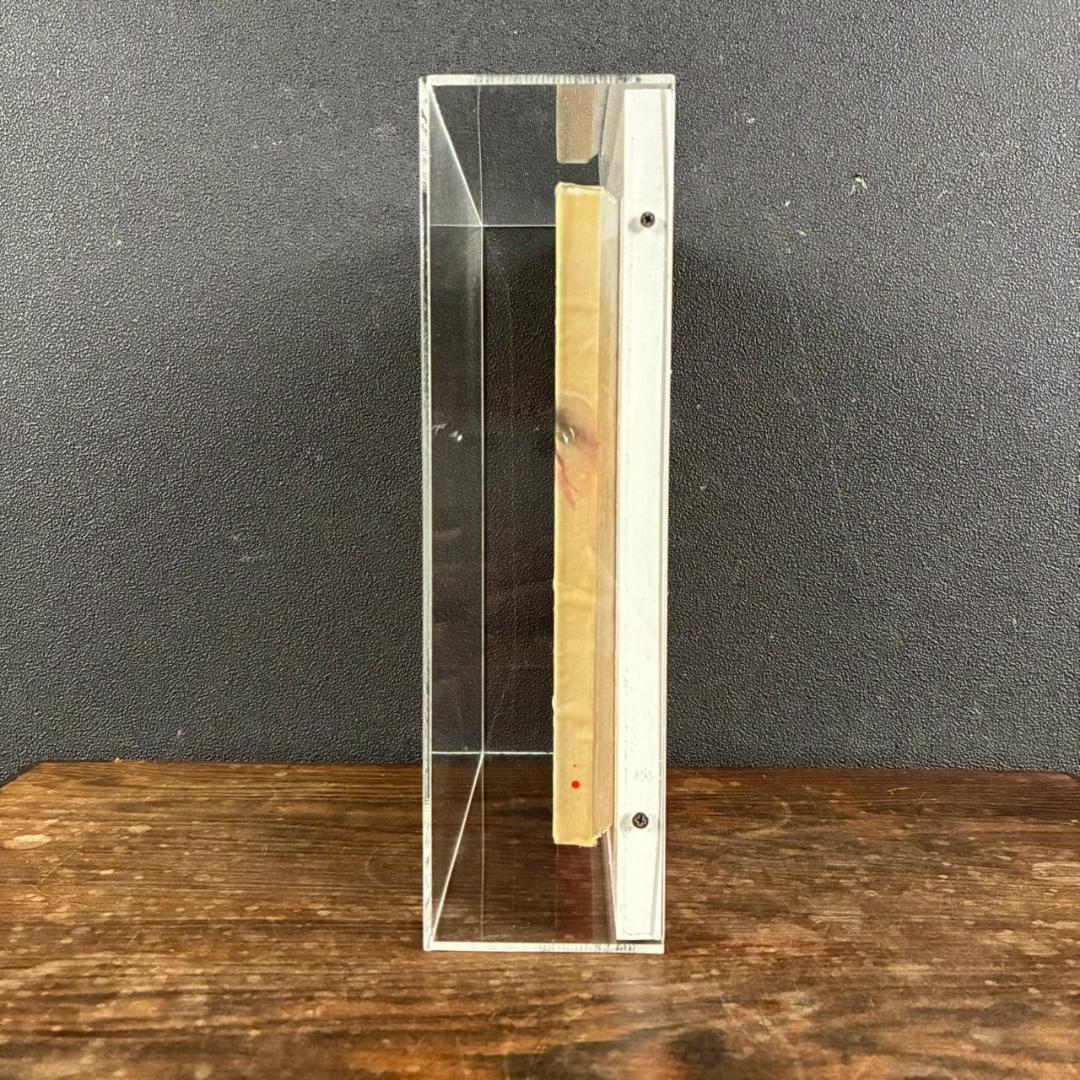 【最終値下げ】美品 麻生志保「tomoe」絹本着彩 日本画 2005年 サイン入