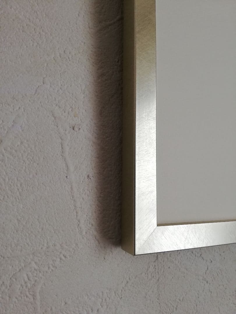 アート777　「進化」　チェコの銅版画　インテリアコーディネート