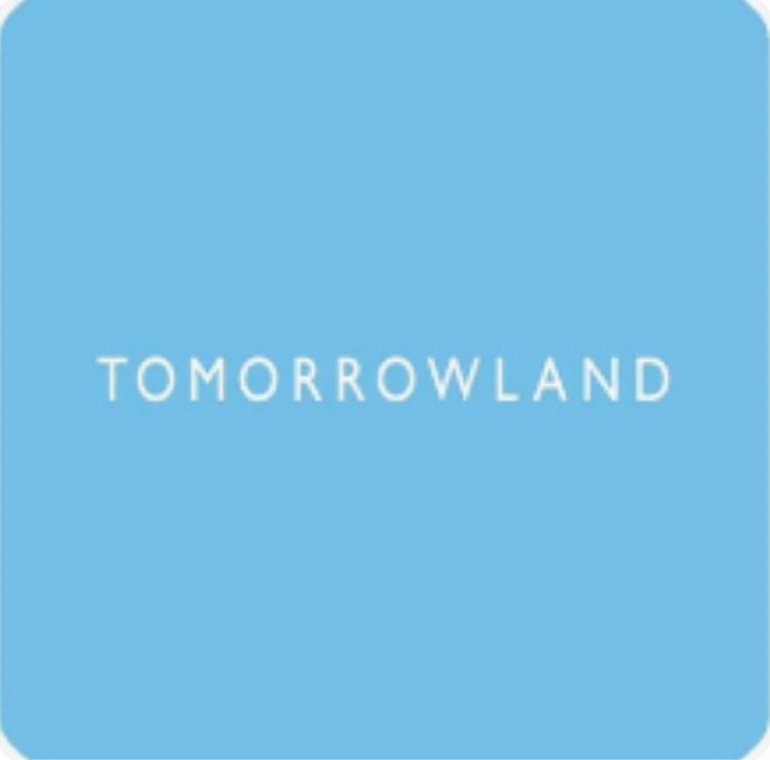 藤原純× TOMORROWLAND 22cmプレート2枚