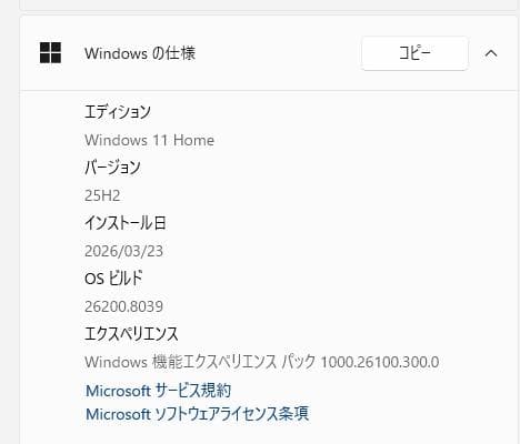 Win11 NEC Lavie LS550/M HDD 1TB メモリ8G