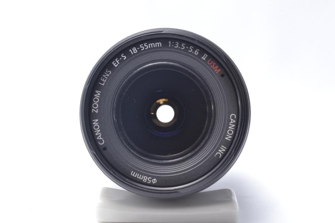 Canon Kiss X5 ✨標準レンズ✨回転式液晶✨初心者の方に✨ショット数少