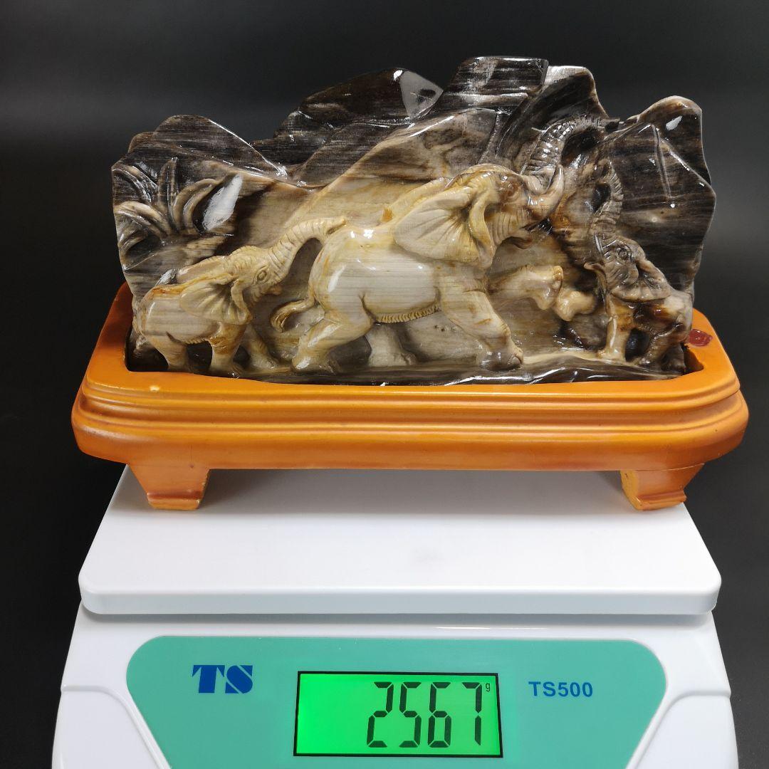 象　木化石　珪化木　ペトリファイド　天然石　処分