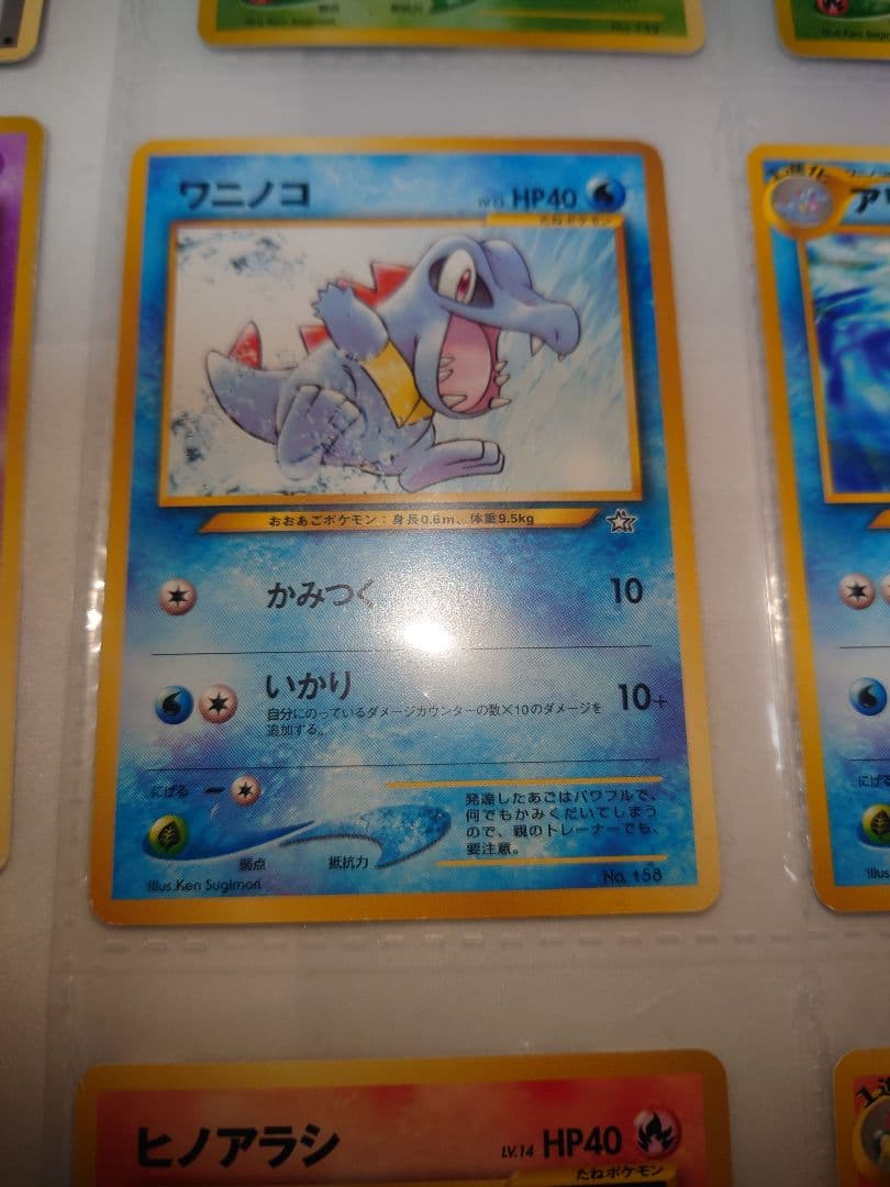 メガニウム　オーダイル　バクフーン　旧裏 neo プレミアムファイル 御三家