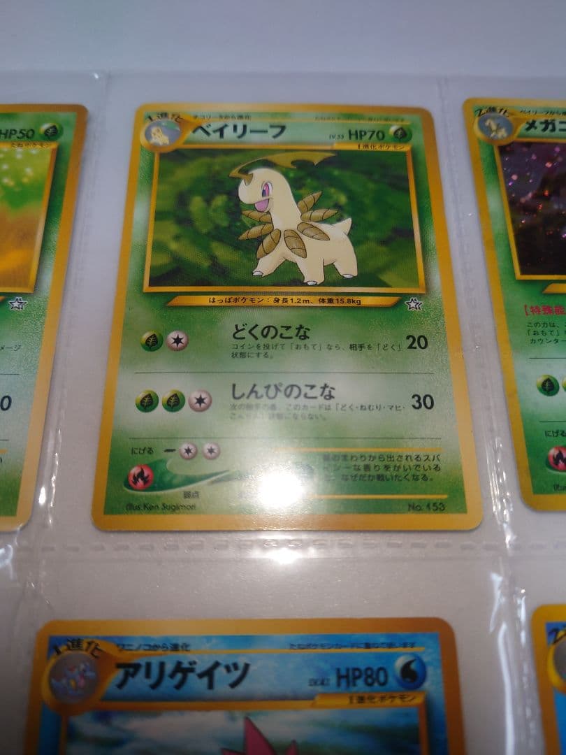 メガニウム　オーダイル　バクフーン　旧裏 neo プレミアムファイル 御三家