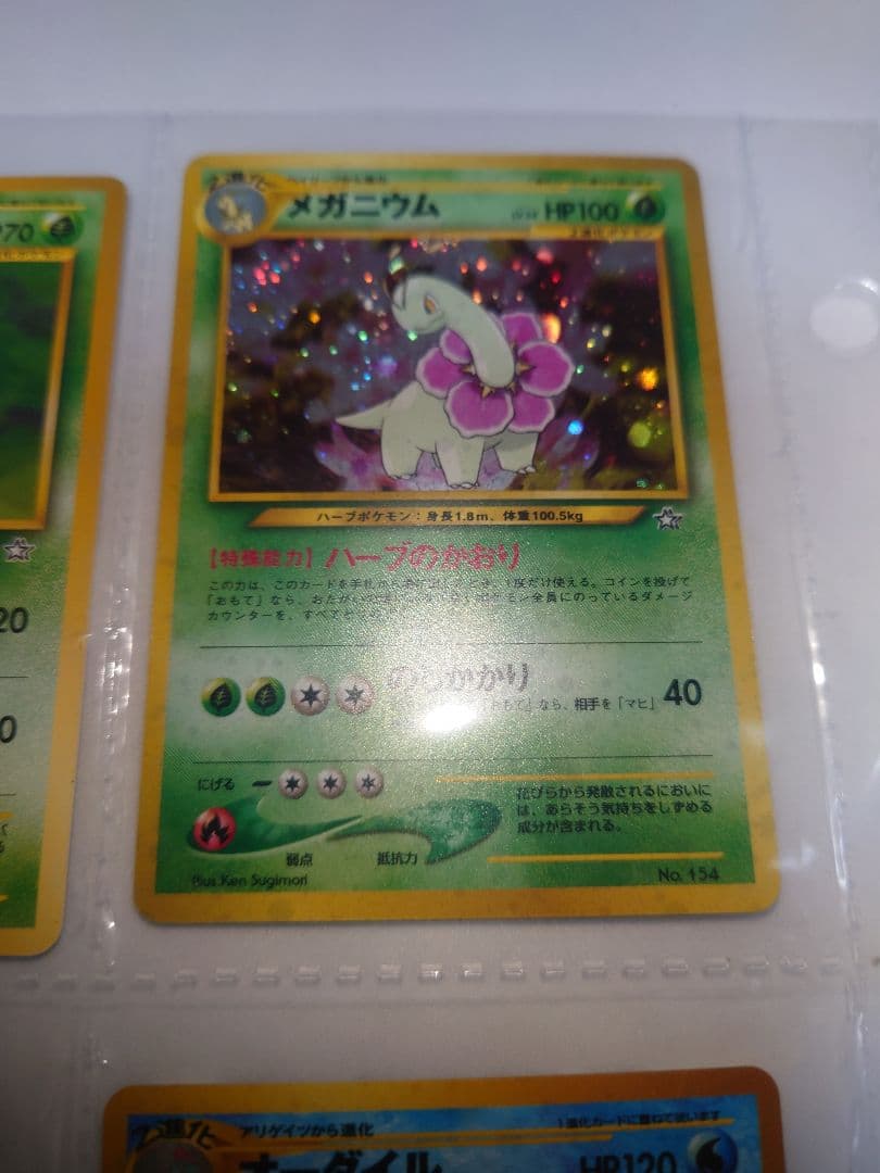 メガニウム　オーダイル　バクフーン　旧裏 neo プレミアムファイル 御三家