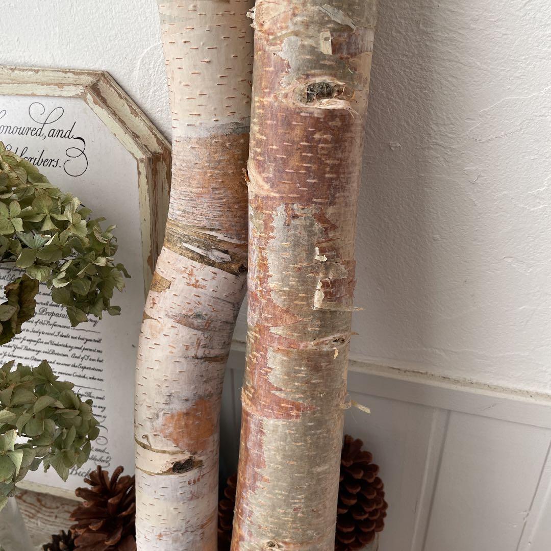 北海道白樺の木　店舗用ディスプレイ　装飾用2本セット