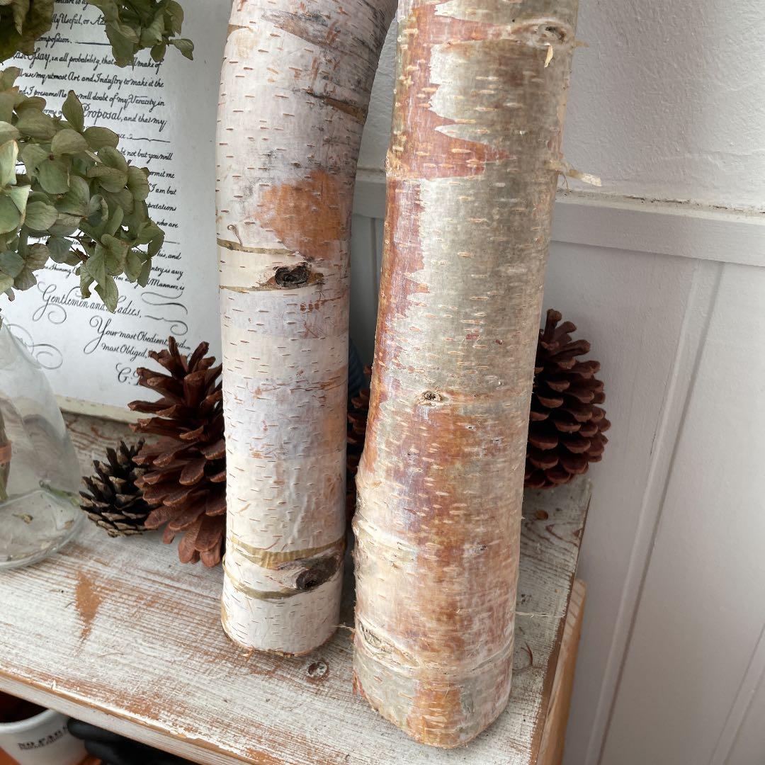 北海道白樺の木　店舗用ディスプレイ　装飾用2本セット