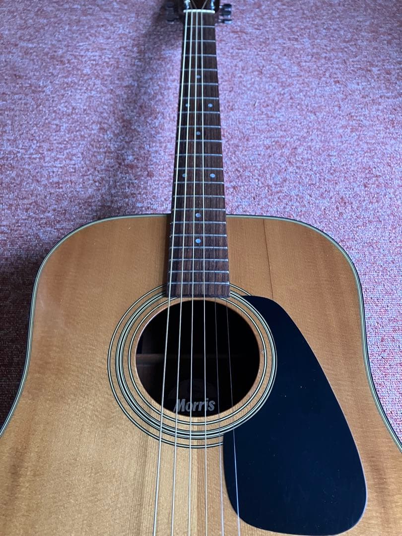 モーリス Morris MD-502 弦新品張り替え済み