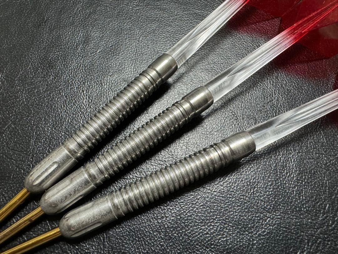 ディーエムシー アナスタシアSP アナスタシア・ドブロミスロワモデル スティール