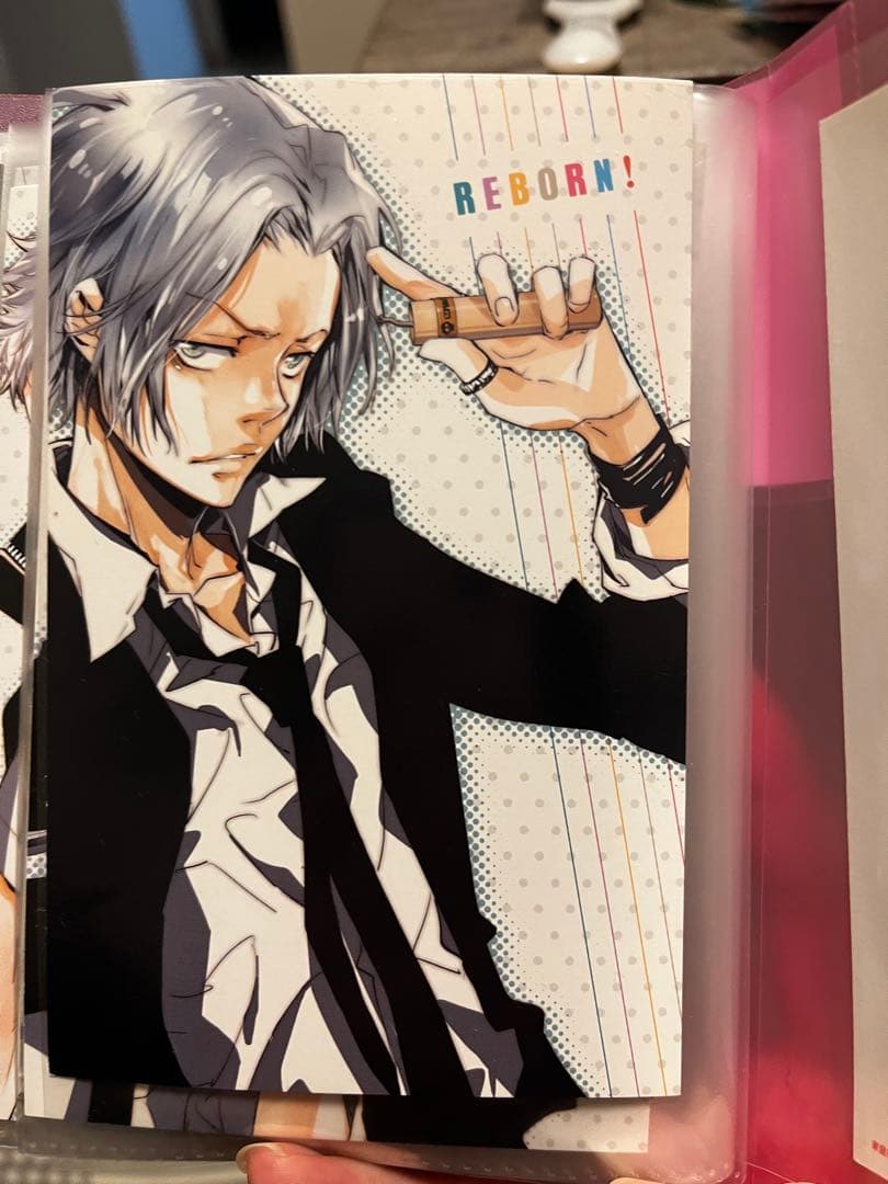 REBORN! ポストカード　全21枚