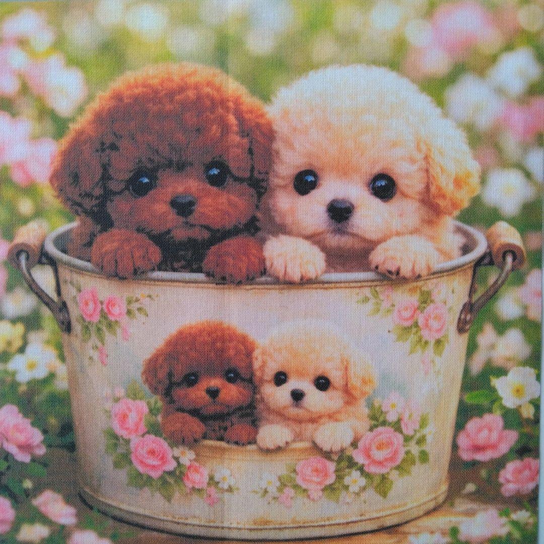 ☆受付☆トイプー