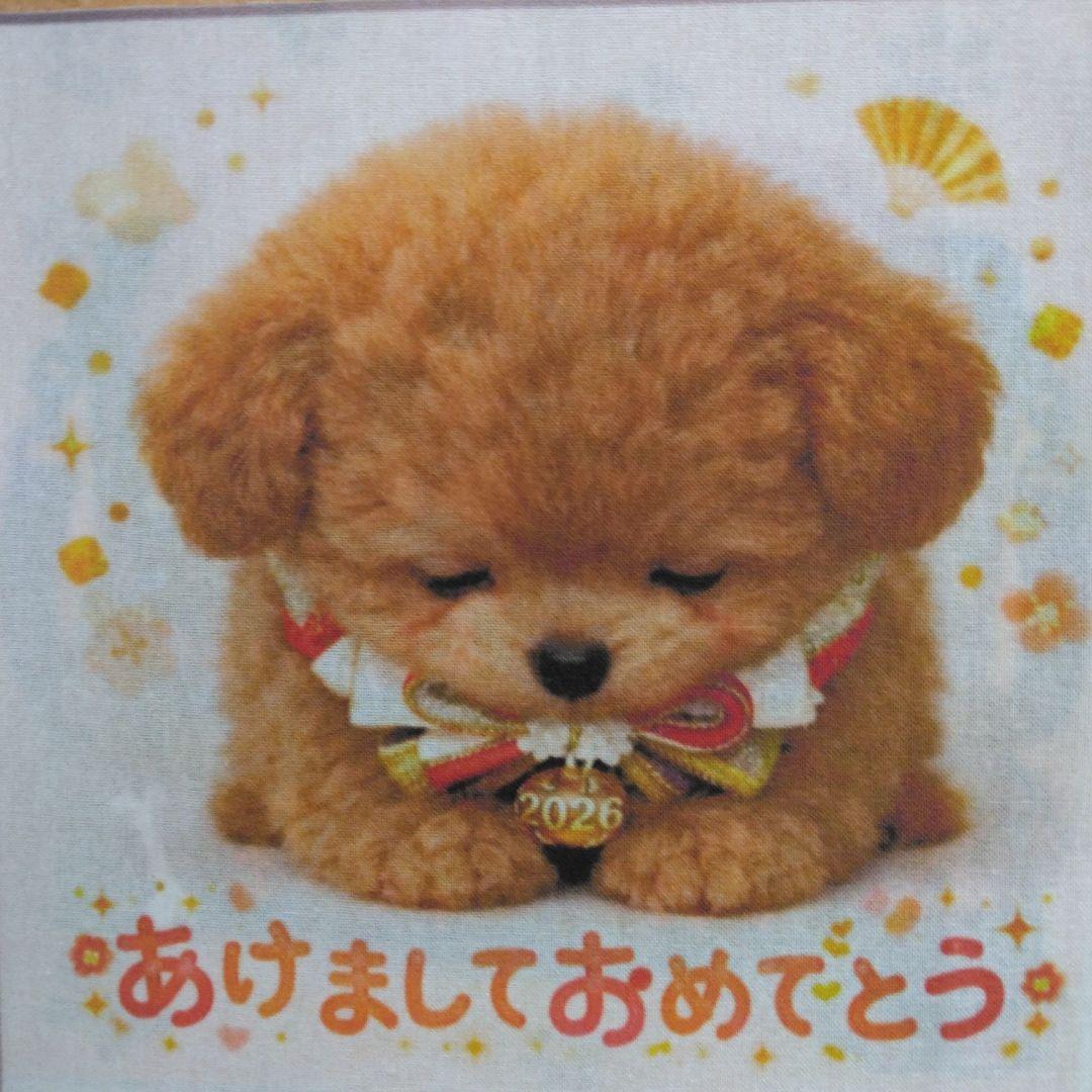 ☆受付☆トイプー