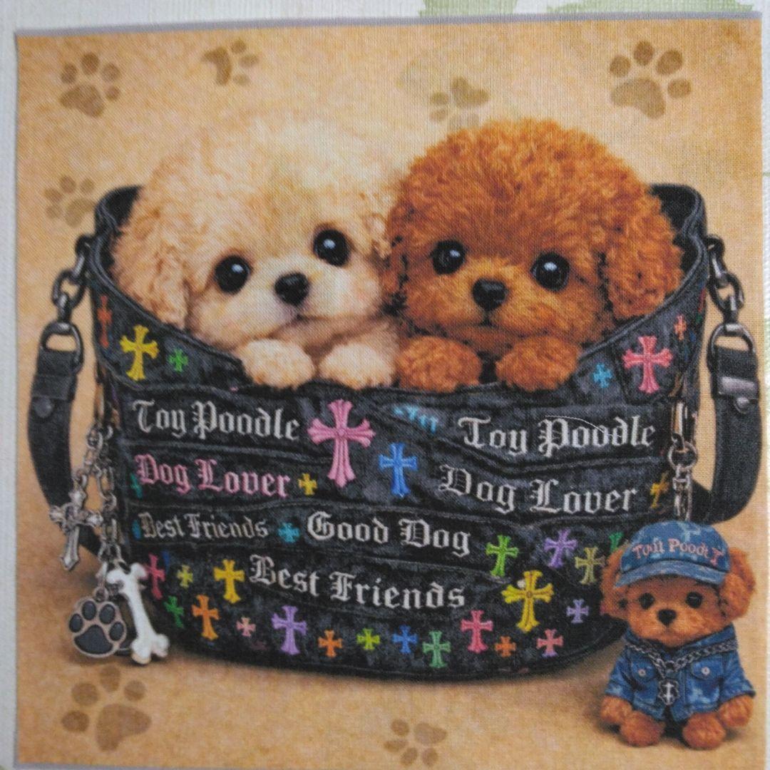 ☆受付☆トイプー