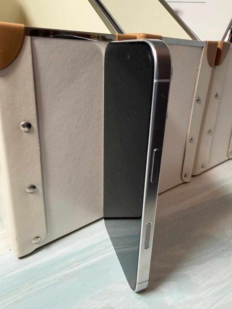 Apple iPhone 16 Pro 1TB本体