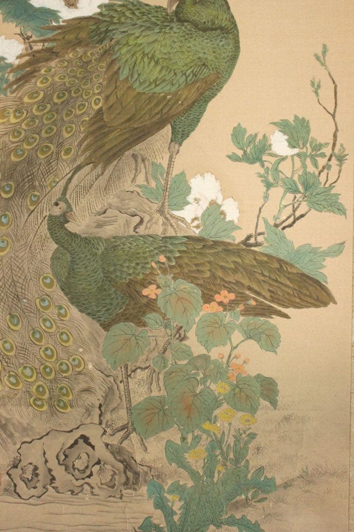 No5393 掛軸　印刷　在印　春山　工芸　牡丹孔雀図　絹本着色　花鳥　送料無料