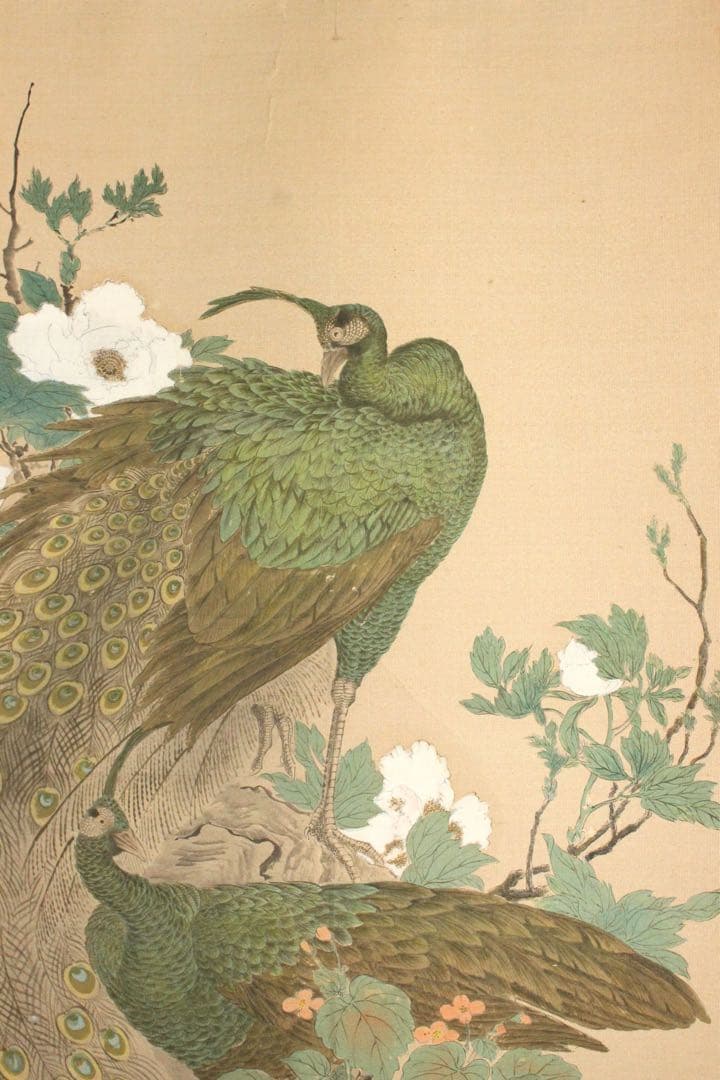 No5393 掛軸　印刷　在印　春山　工芸　牡丹孔雀図　絹本着色　花鳥　送料無料
