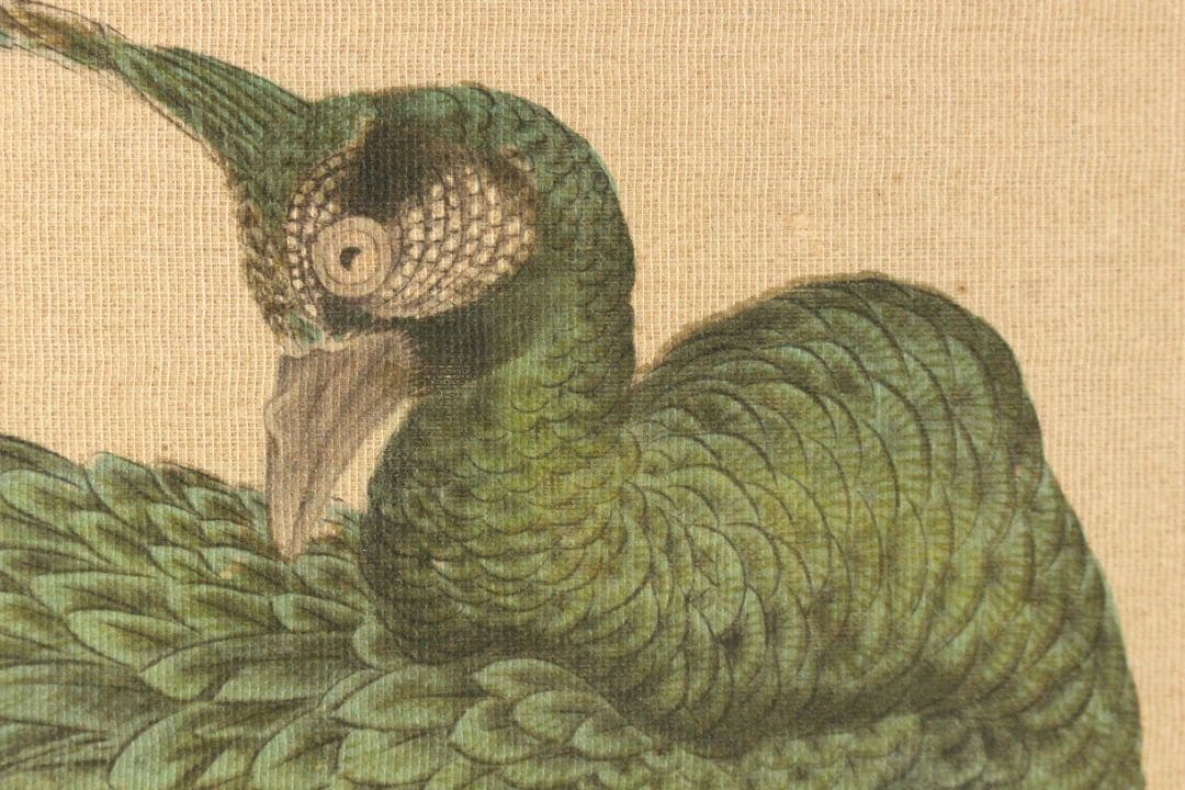 No5393 掛軸　印刷　在印　春山　工芸　牡丹孔雀図　絹本着色　花鳥　送料無料