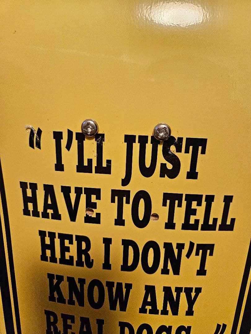 スヌーピー スケートボード デッキ