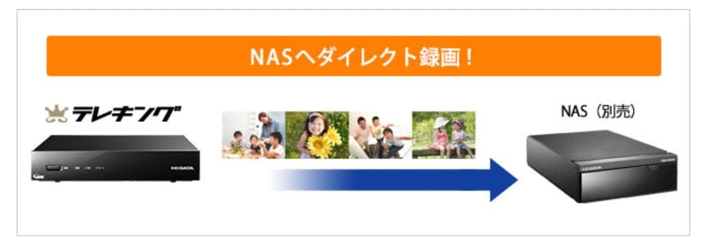 先行年末セール　 3波デジタル放送対応録画TVテレキング　GV-NTX1