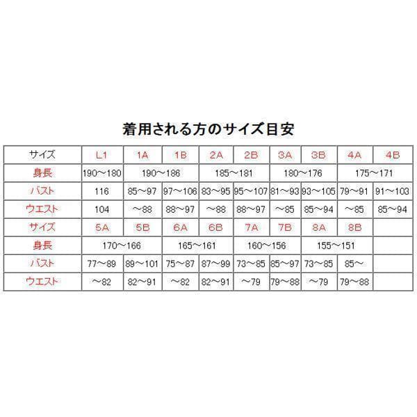 夏Ｌ１ 陸上自衛隊 リップストップ 迷彩服　　陸自 コンバットシャツの元に