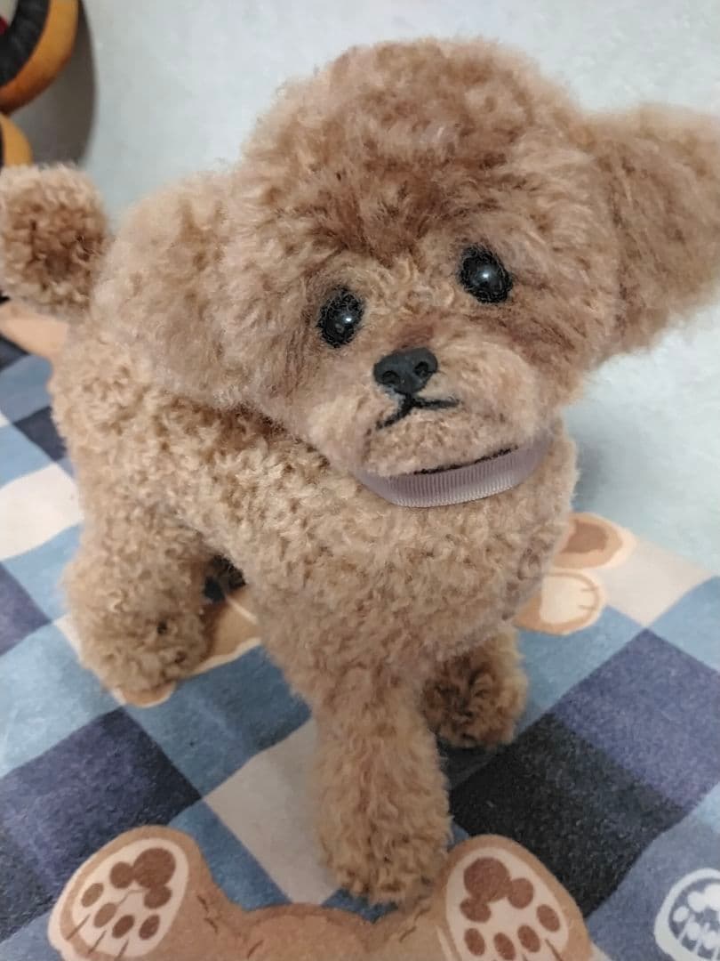 お値下げしました♡送料込み。トイプードルレッドちゃん。