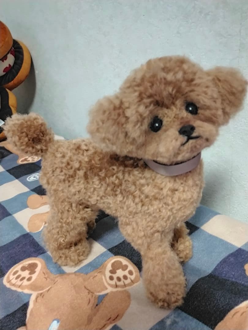 お値下げしました♡送料込み。トイプードルレッドちゃん。