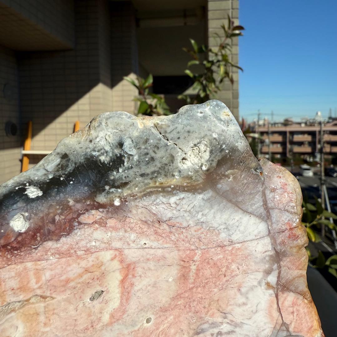 高品質　ペトリファイドウッド　520g プレート　底面磨き　台座付き　珪化木②