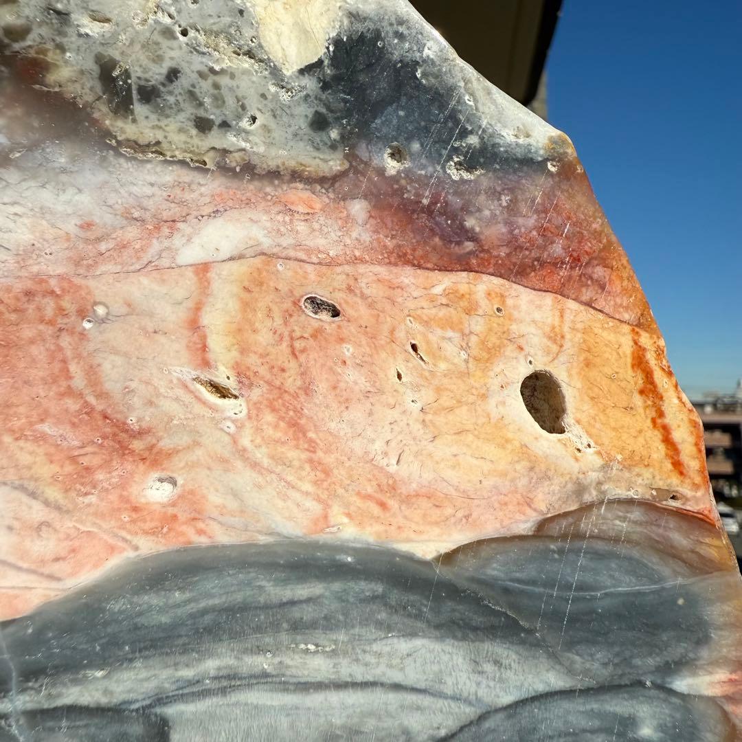 高品質　ペトリファイドウッド　520g プレート　底面磨き　台座付き　珪化木②