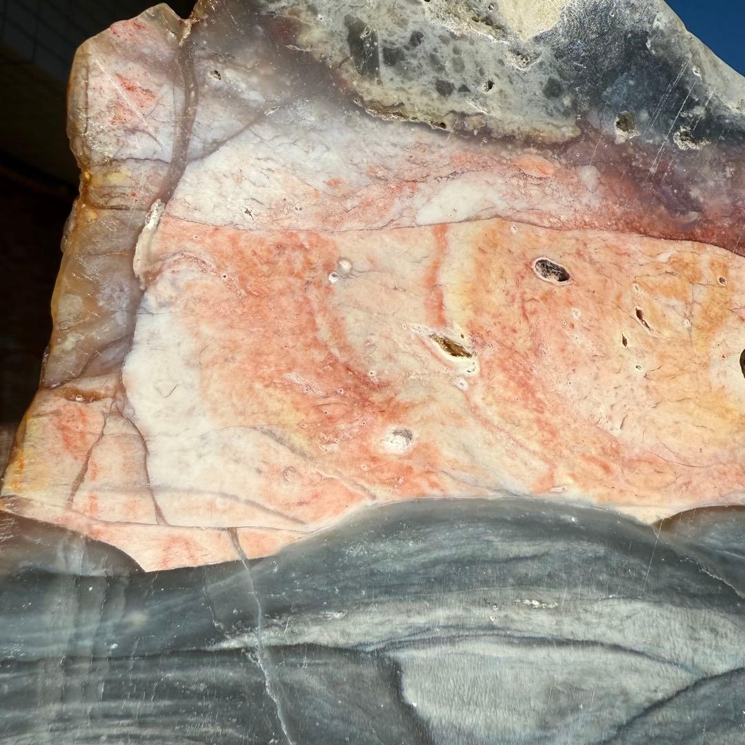 高品質　ペトリファイドウッド　520g プレート　底面磨き　台座付き　珪化木②