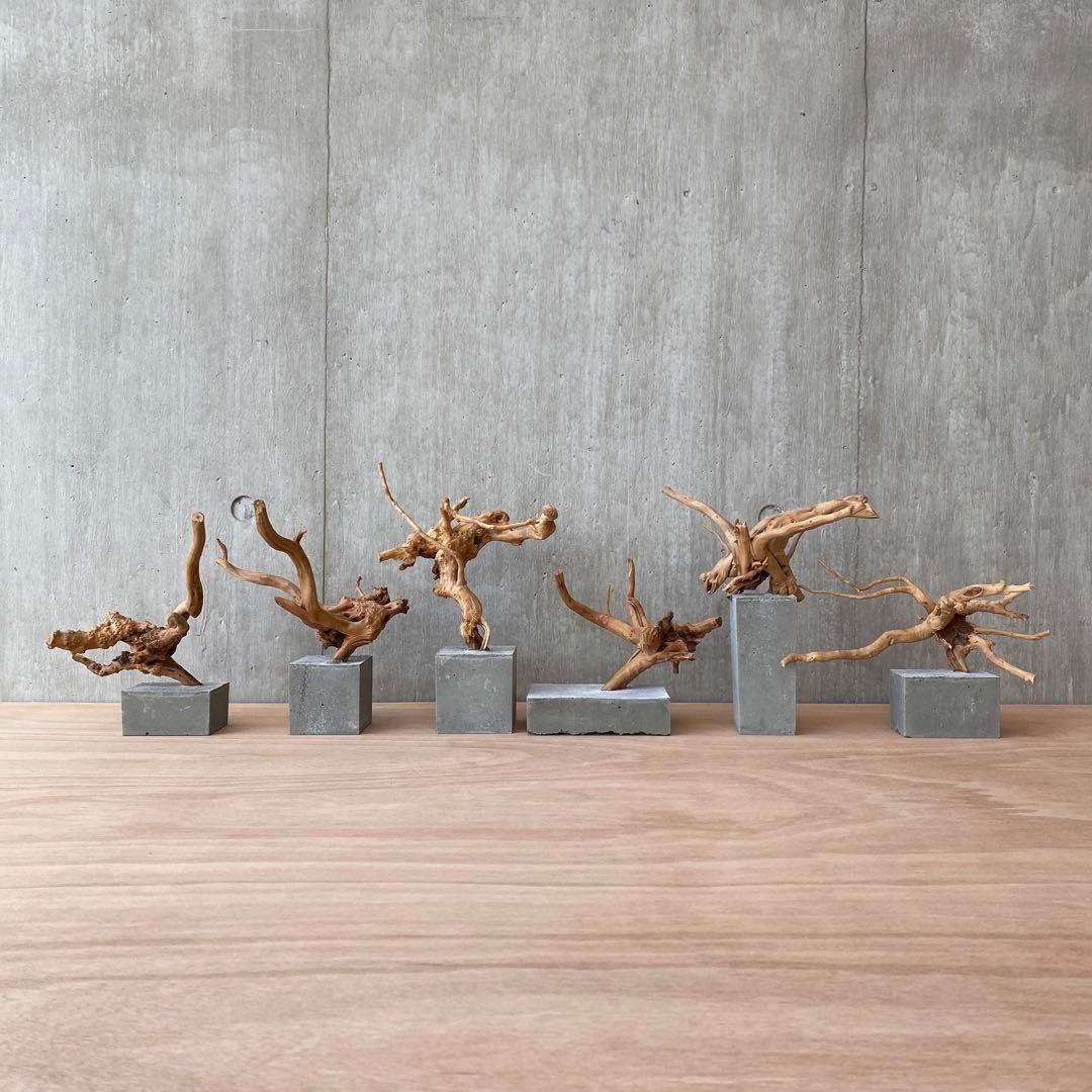 コンクリート盆栽 (m B ) 流木 オブジェ ディスプレイ 高級感