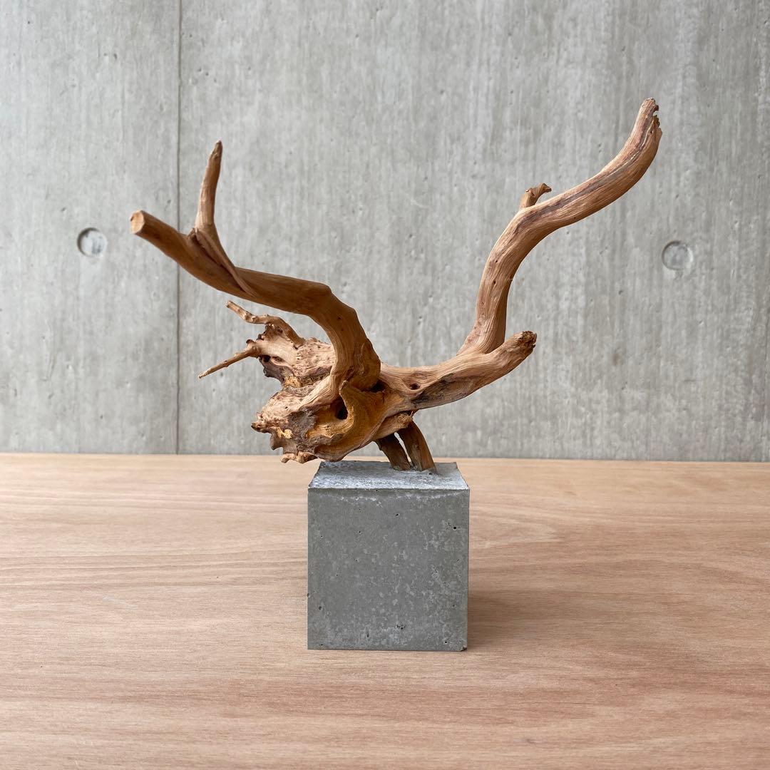 コンクリート盆栽 (m B ) 流木 オブジェ ディスプレイ 高級感