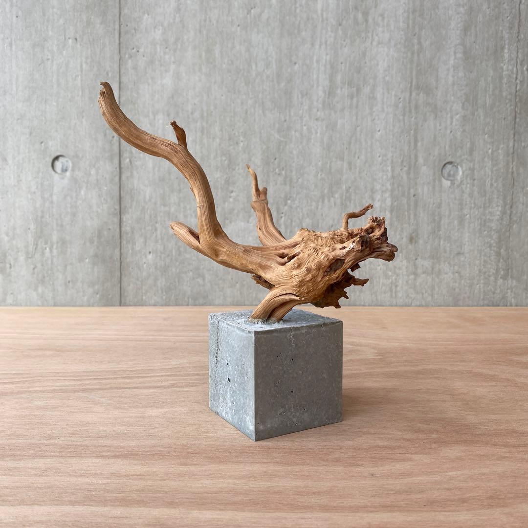 コンクリート盆栽 (m B ) 流木 オブジェ ディスプレイ 高級感