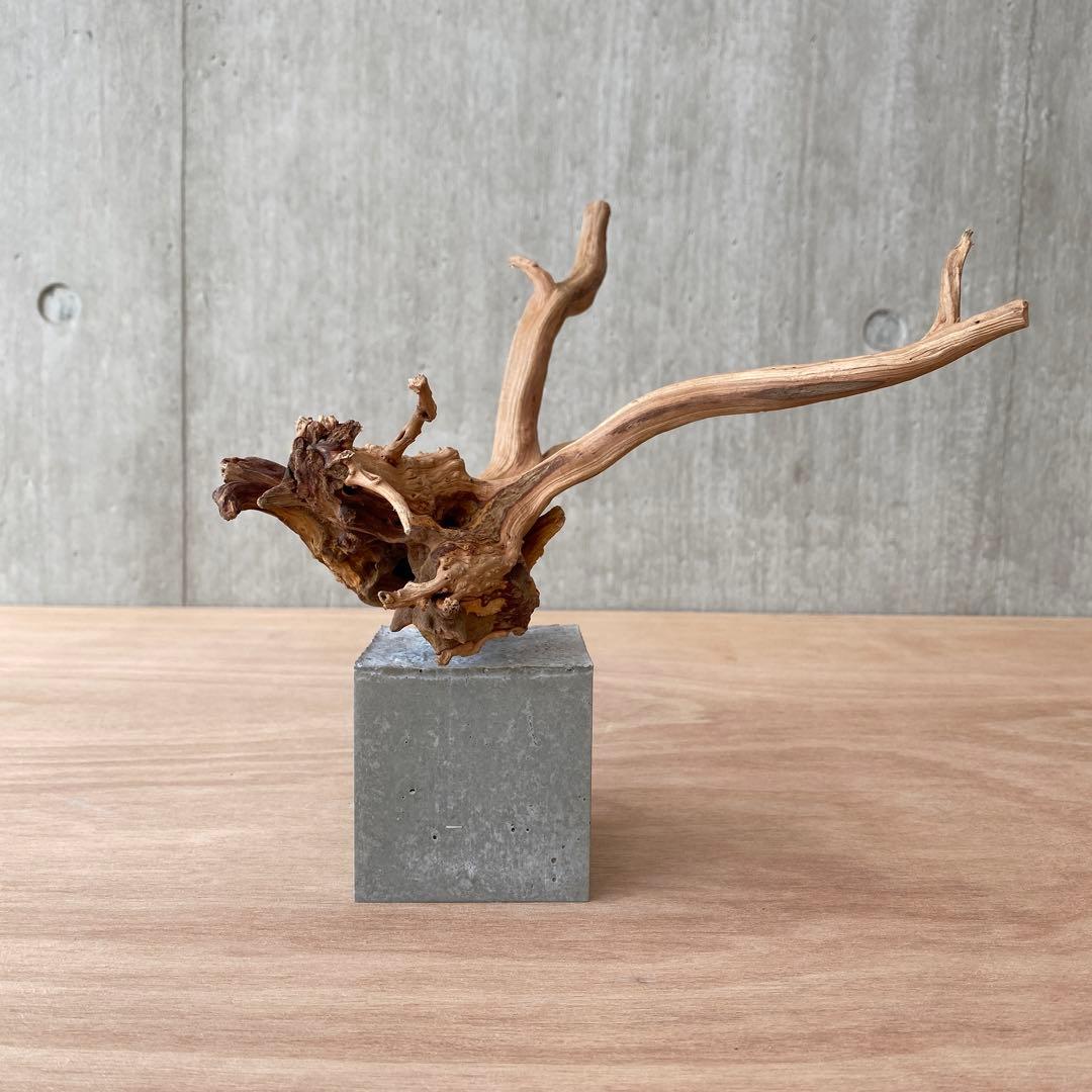 コンクリート盆栽 (m B ) 流木 オブジェ ディスプレイ 高級感