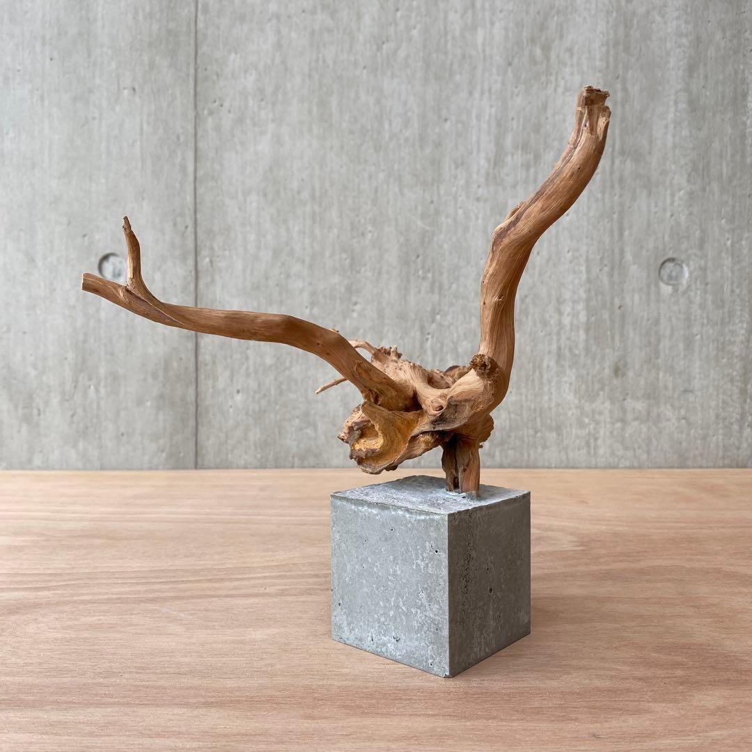 コンクリート盆栽 (m B ) 流木 オブジェ ディスプレイ 高級感